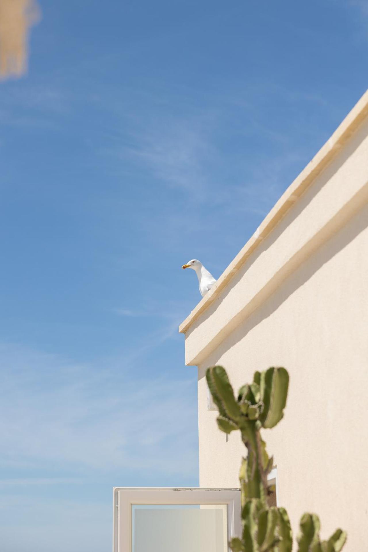 Fronte Mare Casa Daspa ガリポリ エクステリア 写真